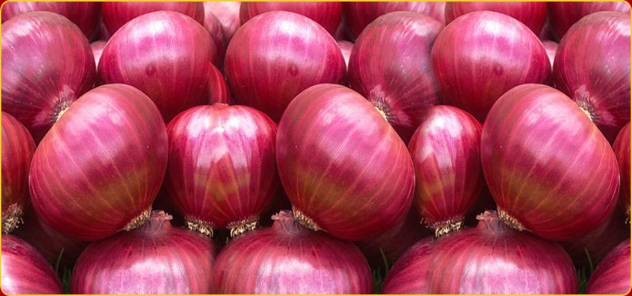 SUPPLIER AND EXPORTER OF INDIAN RED ONIONS AND BAWANG